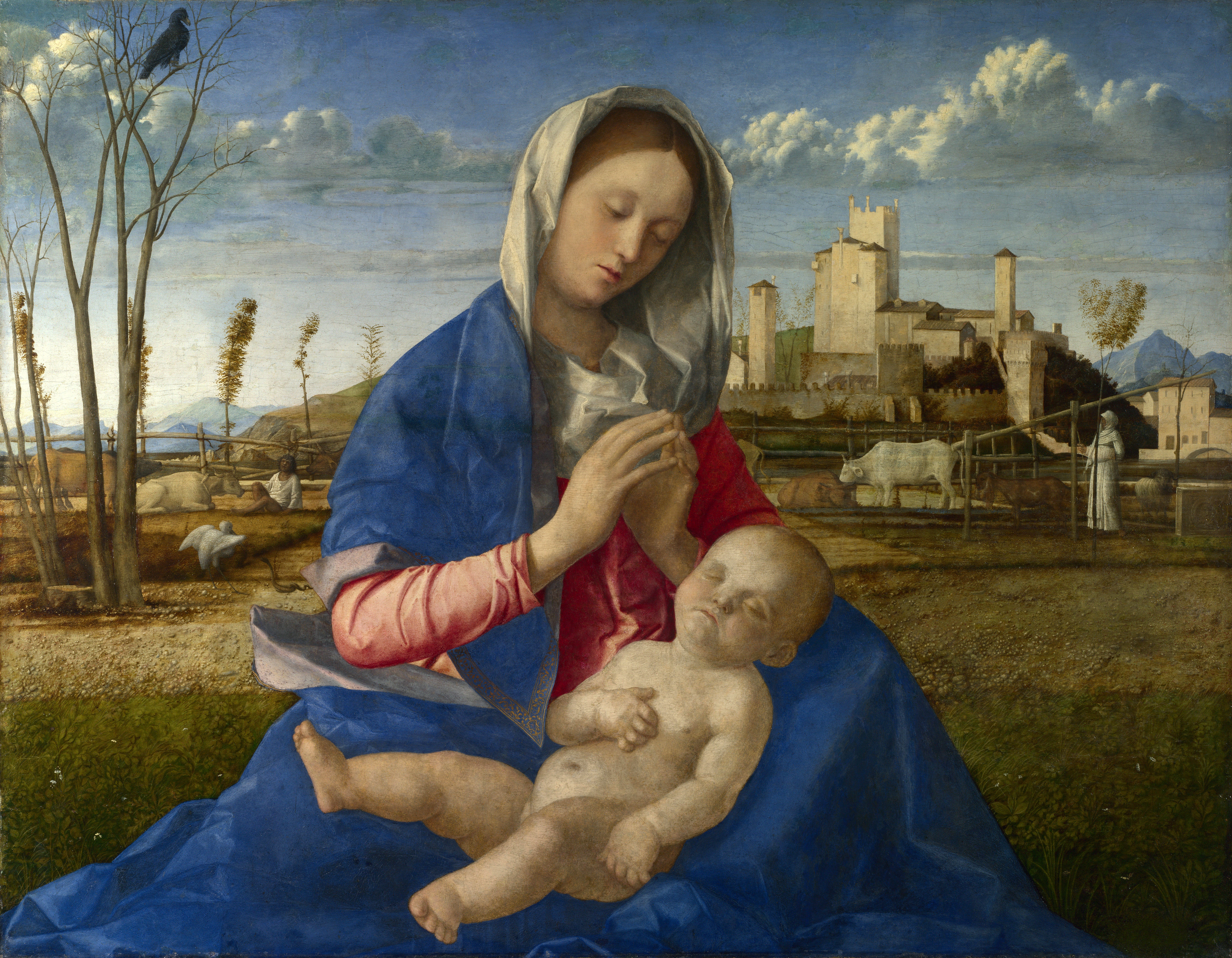 10 bellini madonna meadow.jpg