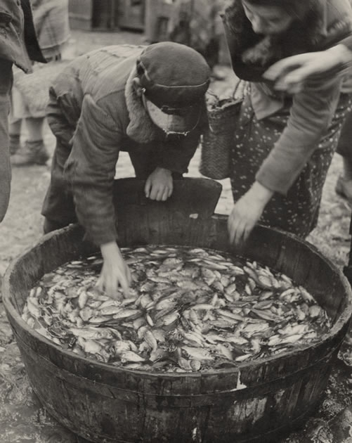 13 allen_04_scan.jpg