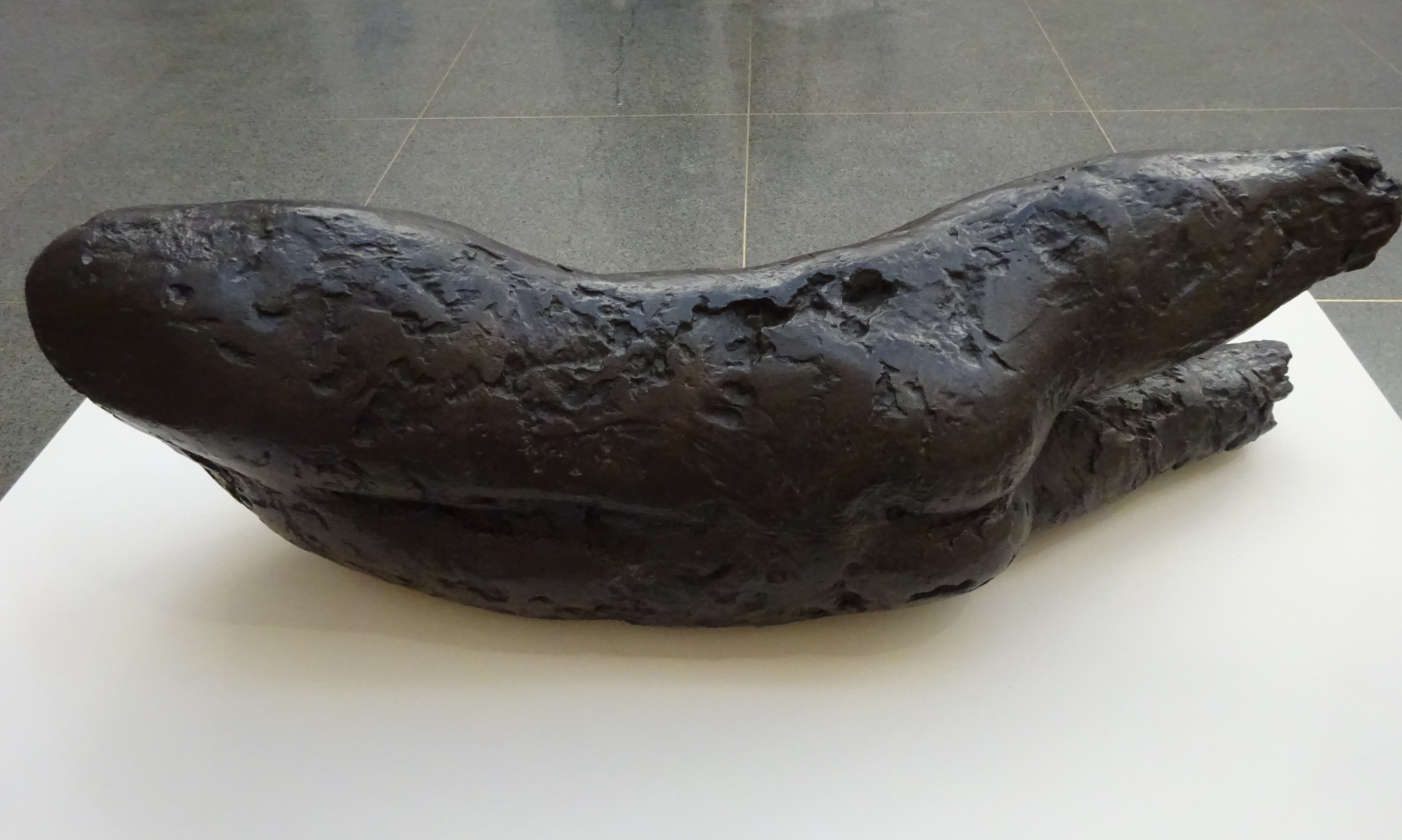 DSC06227frink torso 2.3.19.jpg