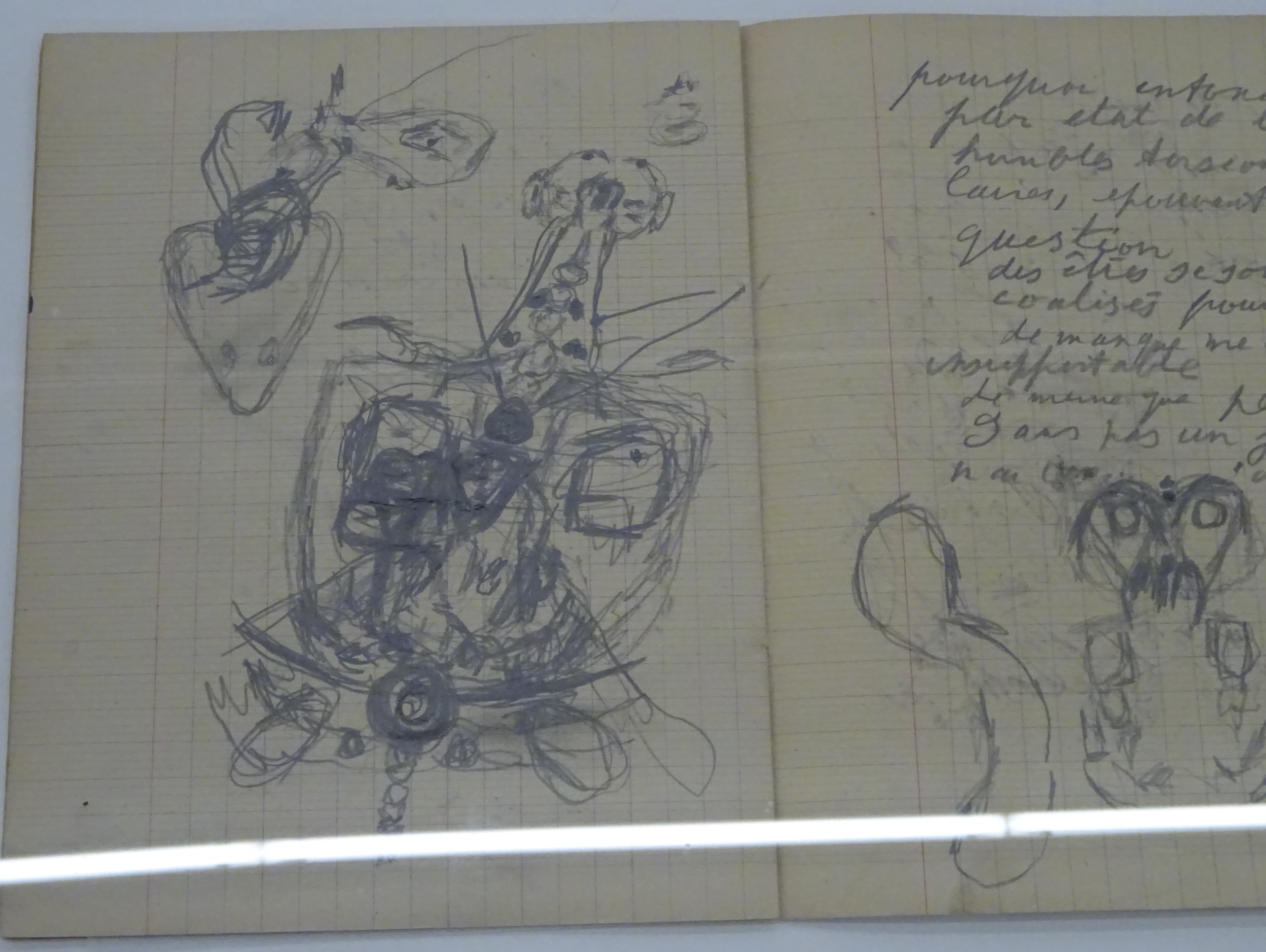 6 DSC07261 nb351 copy.jpg