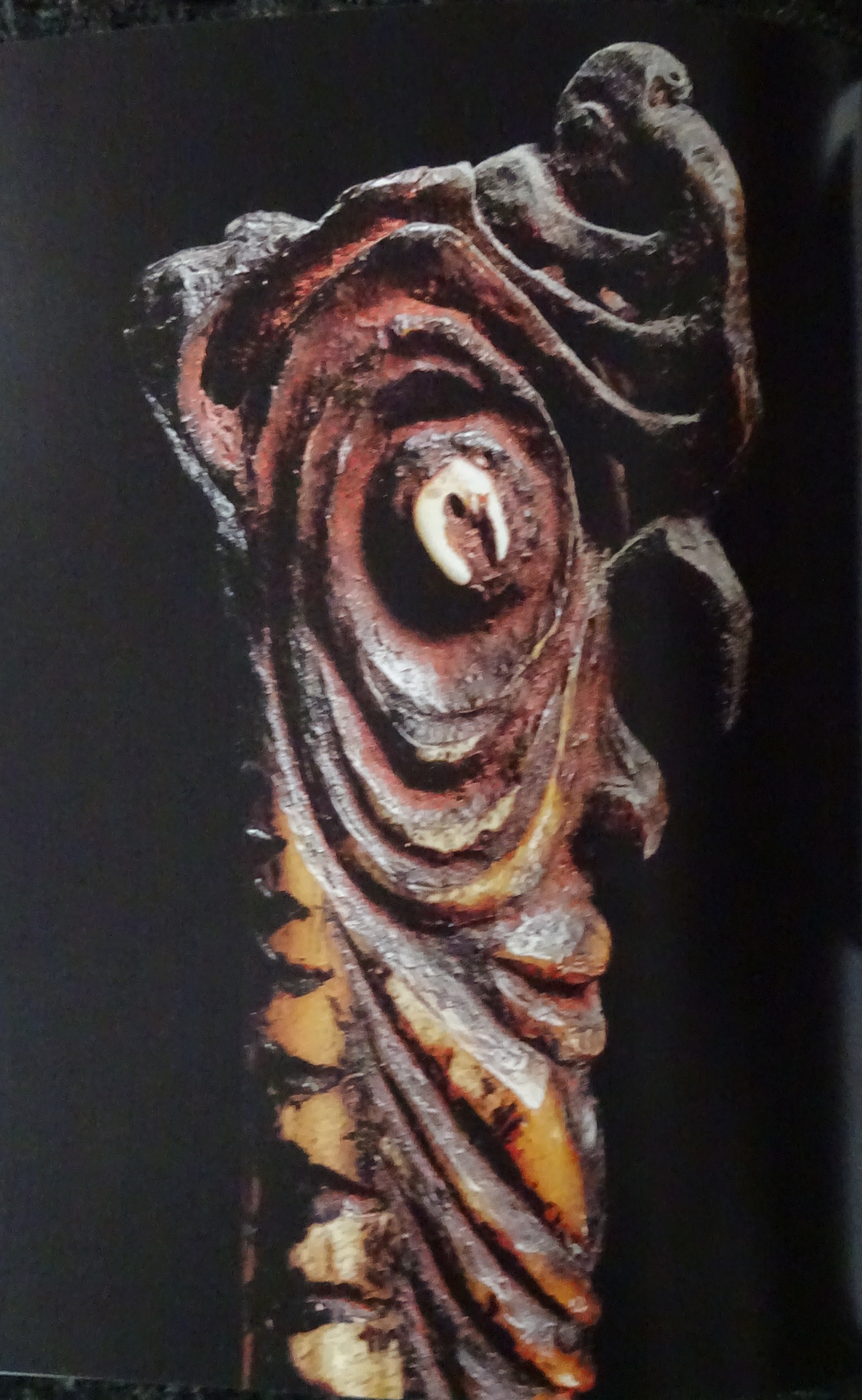 23a 5376-223det bone face ruin.jpg