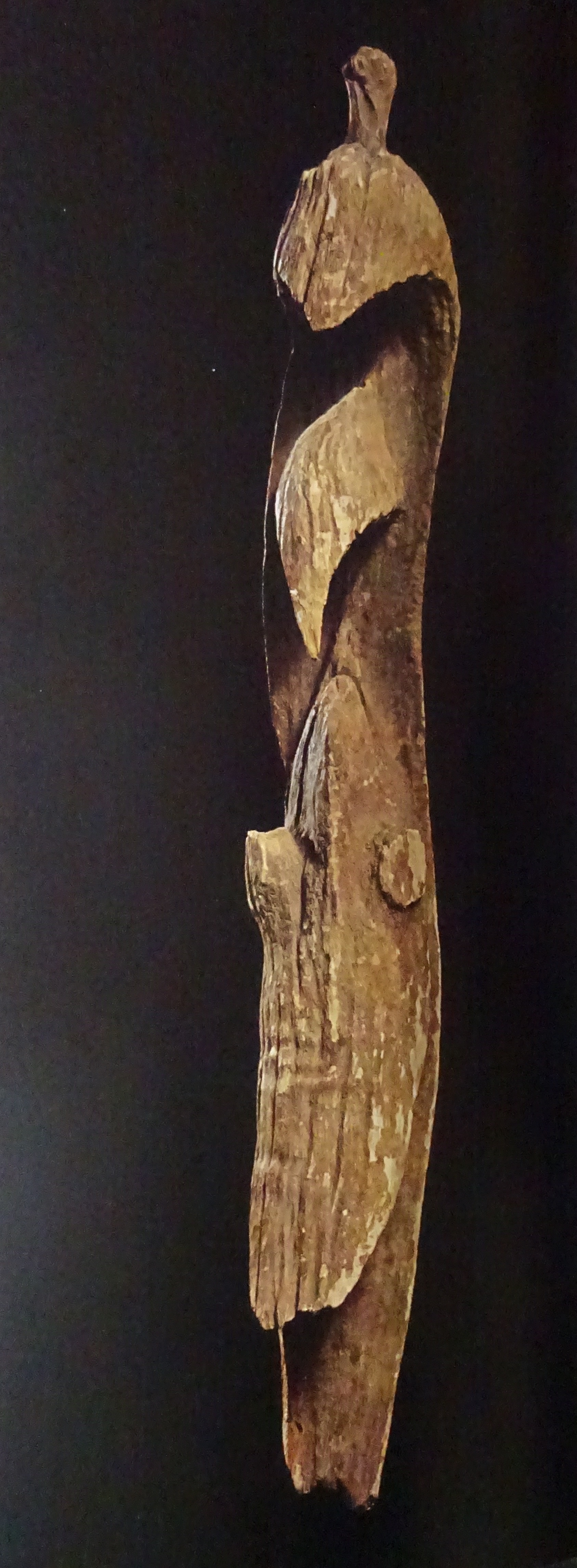 26 5425-271 helmet bird shield man.jpg