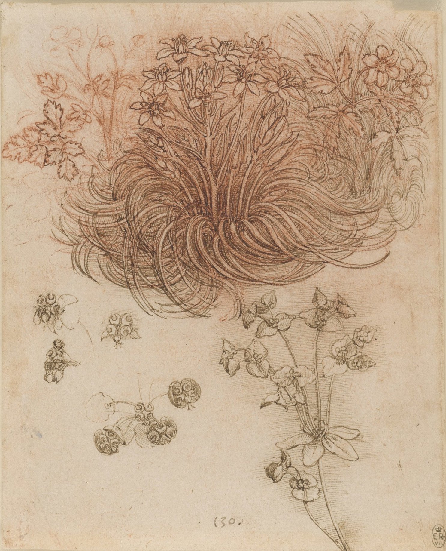 11 912424 star of bethlehem.jpg