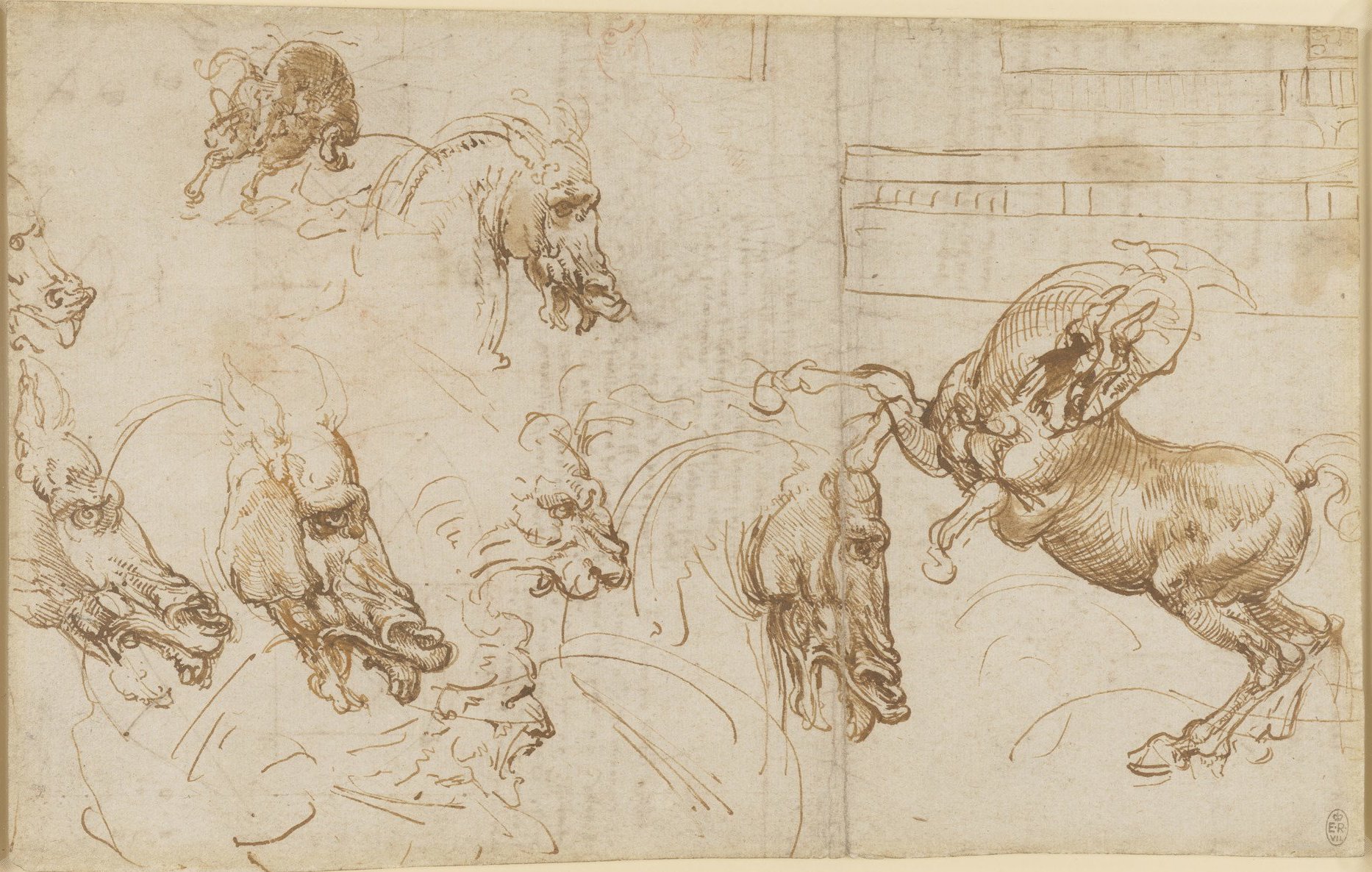 3 912326 horse lion man.jpg