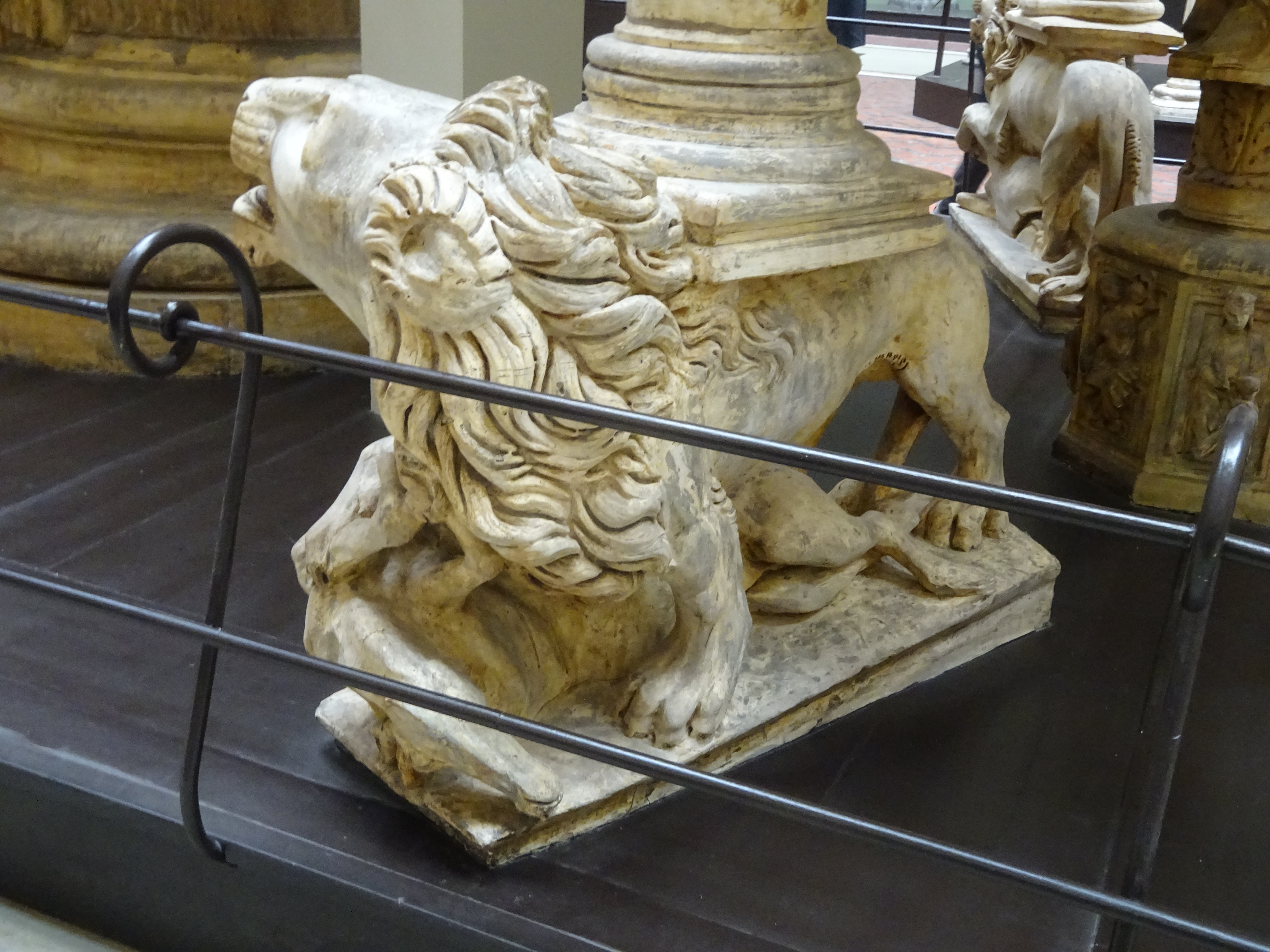 + lions DSC02212.jpg