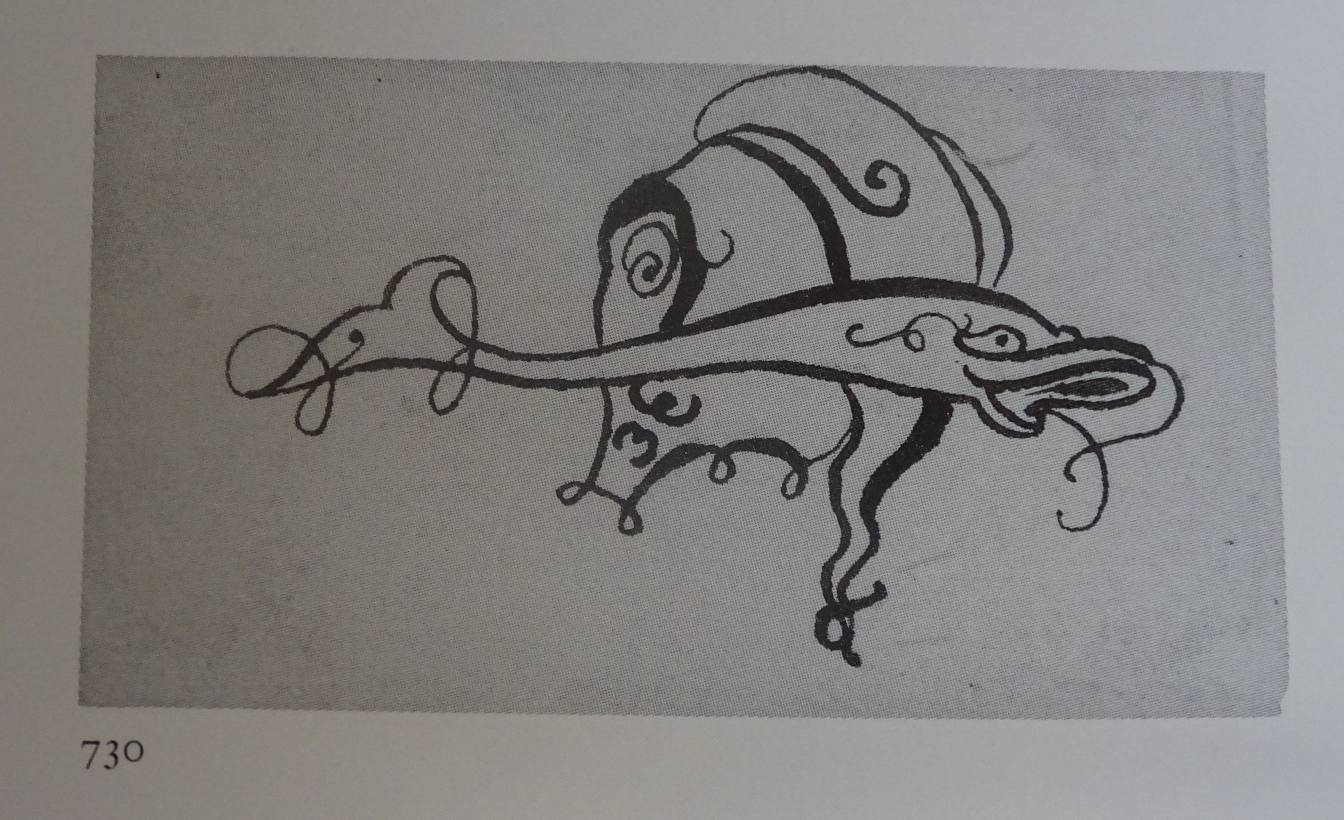 13b DSC04251 beardsley malory capped head gazing at fish Z730 copy.jpg